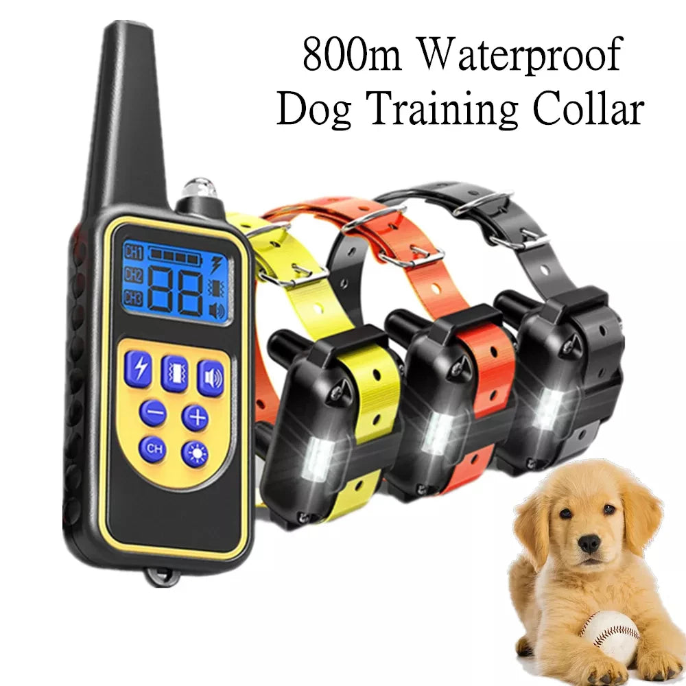 BarkGuard Training Collar